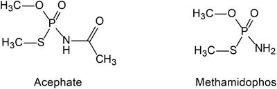 Degradation of Acephate and Its Intermediate Methamidophos: Mechanisms and Biochemical Pathways